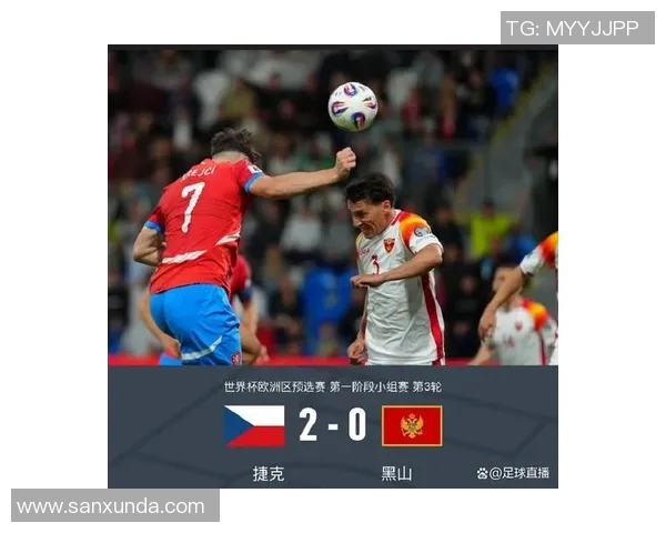 新西兰与黑山世界杯对决精彩回顾与赛后分析